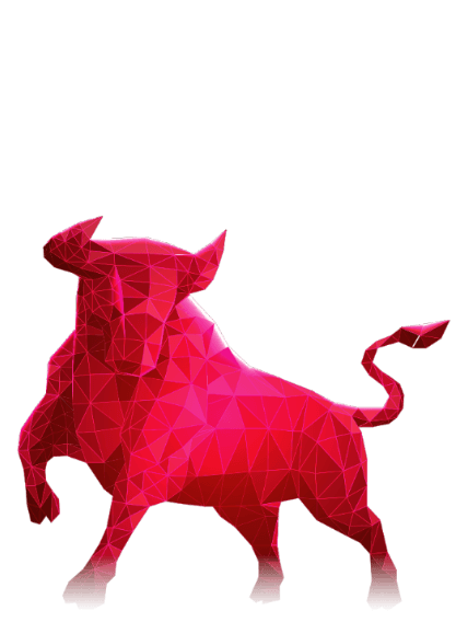 Bull Image